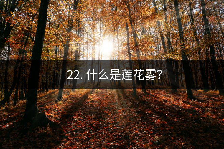 ? 22. 什么是蓮花霧？
