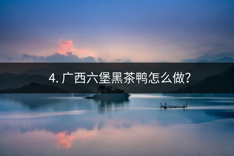 ? 4. 廣西六堡黑茶鴨怎么做？