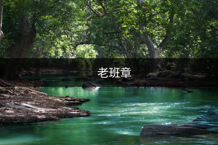 ??? 老班章 ??? 老班章