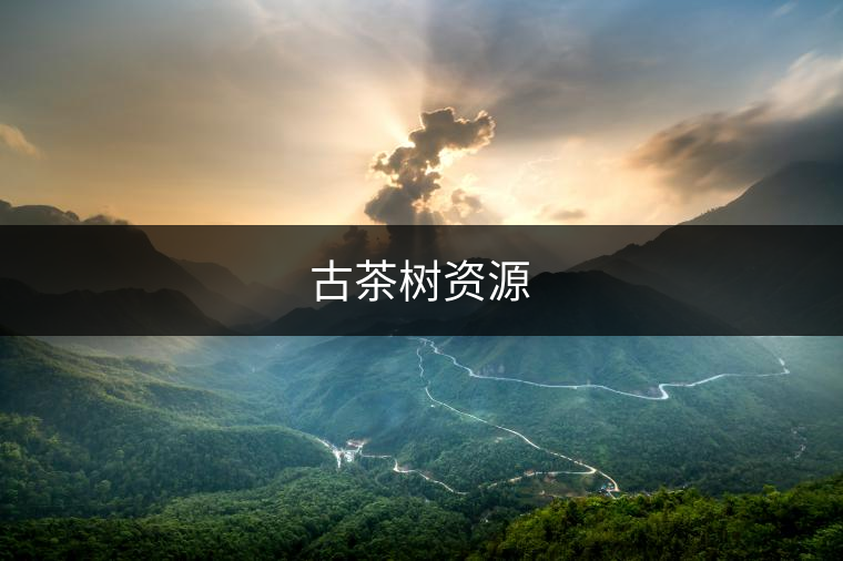 下大安村 下大安村