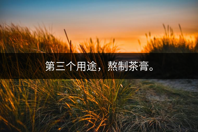 第三個用途，熬制茶膏。