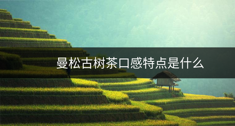 曼松古樹茶口感特點(diǎn)是什么 曼松古樹茶口感特點(diǎn)是什么