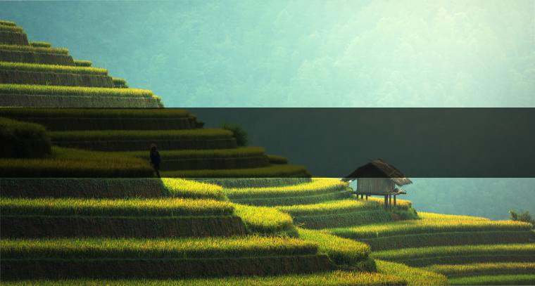 　　是什么支撐著一個(gè)家庭作坊式的小廠成長(zhǎng)為一個(gè)產(chǎn)值上億元的現(xiàn)代企業(yè)？