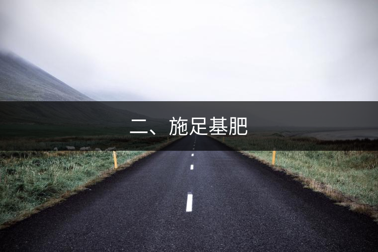 二、施足基肥