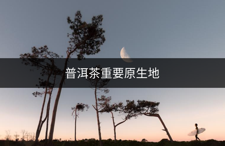 普洱茶重要原生地