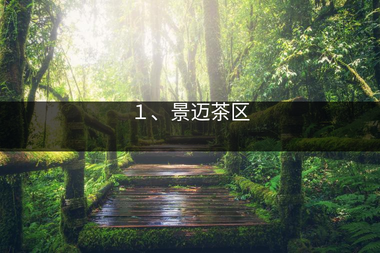 １、景邁茶區(qū)
?