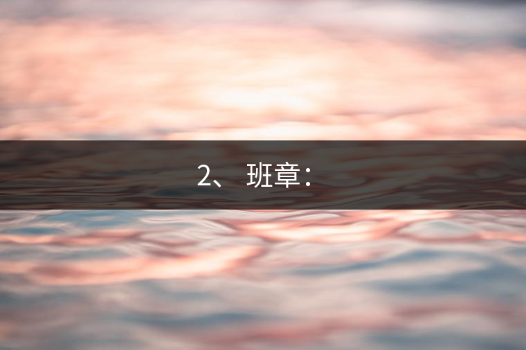 2、 班章：?