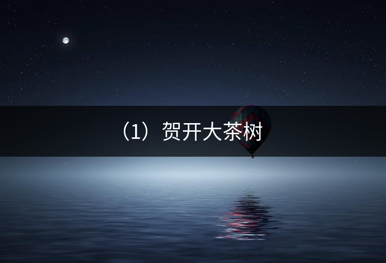 （1）賀開大茶樹