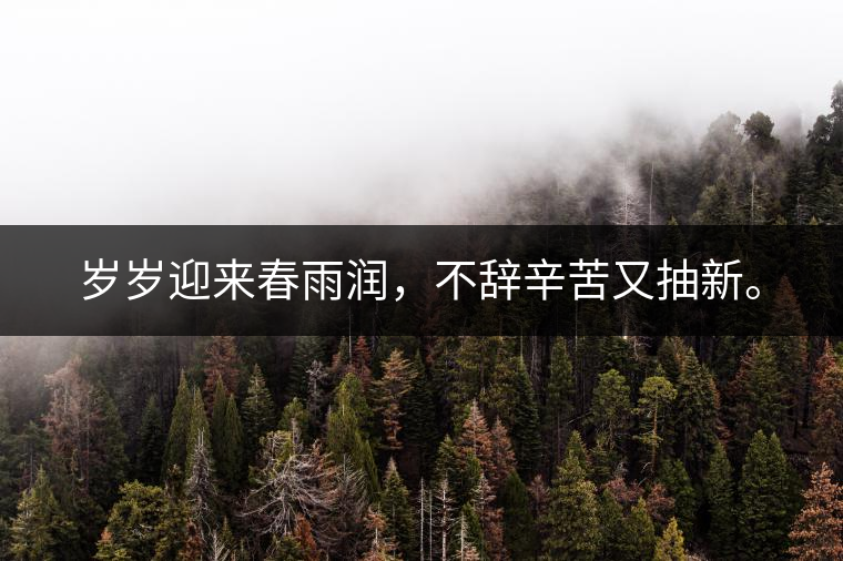 歲歲迎來春雨潤，不辭辛苦又抽新。