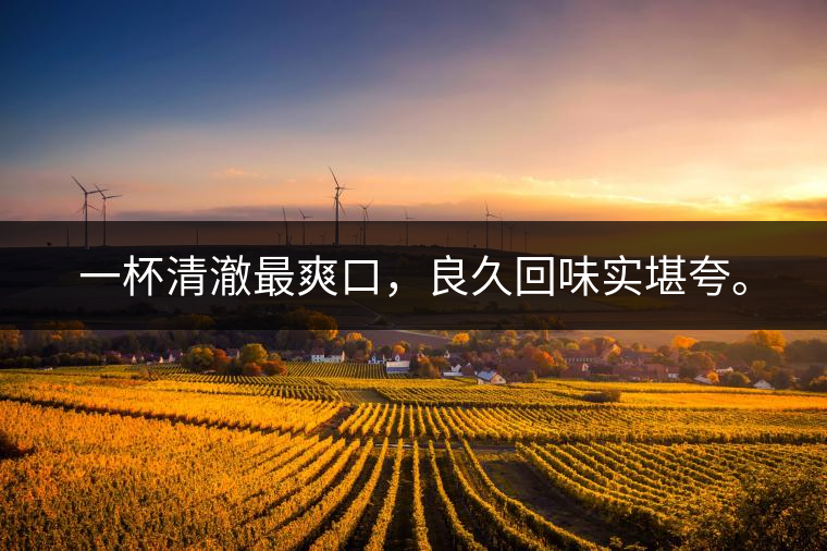 若能一日車船至，從此美名滿天涯。