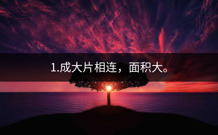 1.成大片相連，面積大。