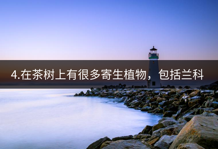 4.在茶樹上有很多寄生植物，包括蘭科植物，還有螃蟹腳。