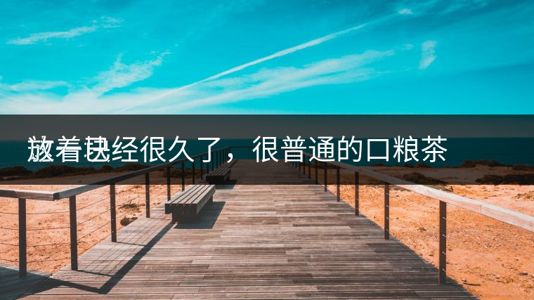 這一塊
放著已經(jīng)很久了，很普通的口糧茶，煙味很重，但回甘也可以，隨意喝喝吧。