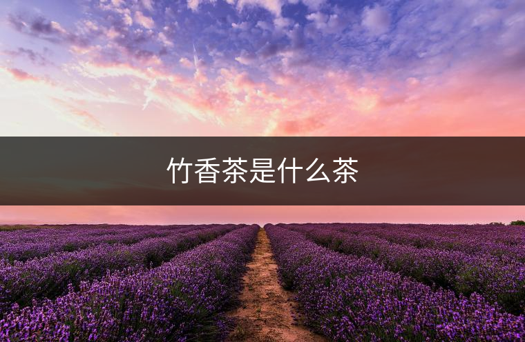 竹香茶是什么茶