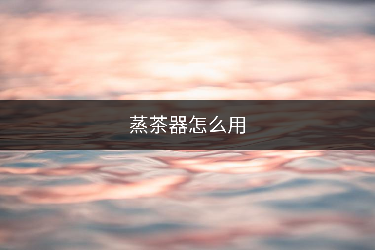 蒸茶器怎么用