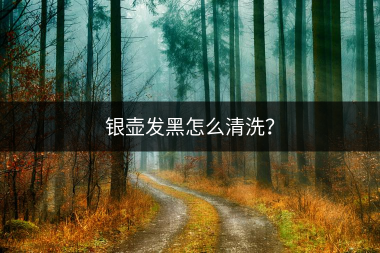 銀壺發(fā)黑怎么清洗？
