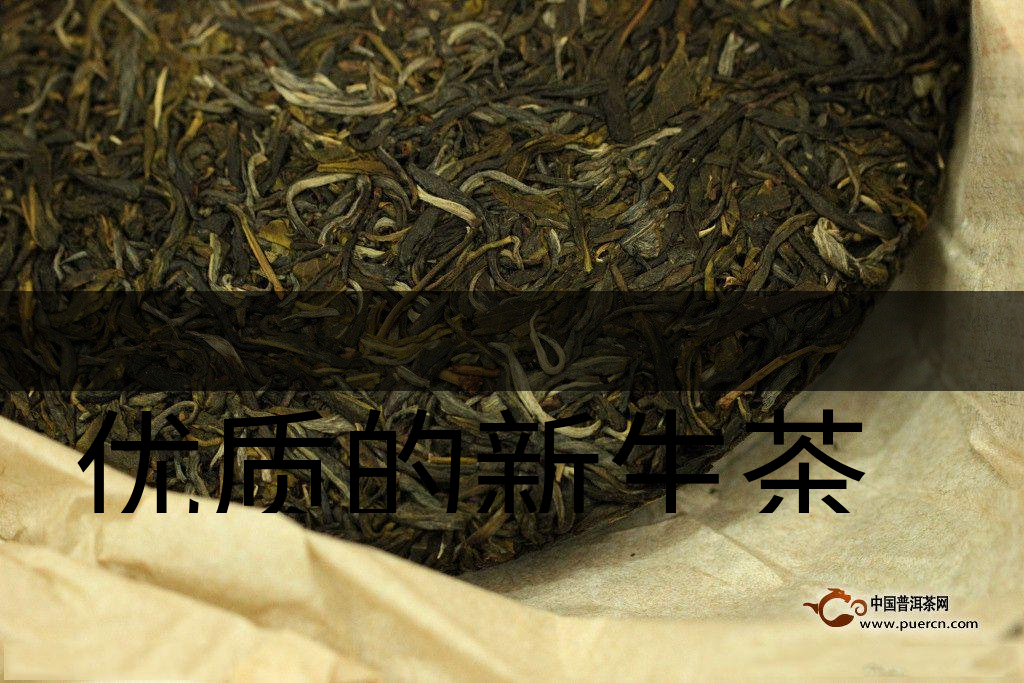 優(yōu)質(zhì)的新生茶是什么樣的？