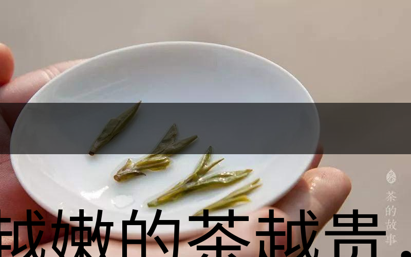 越嫩的茶越貴，但越貴的茶就越好嗎？-3