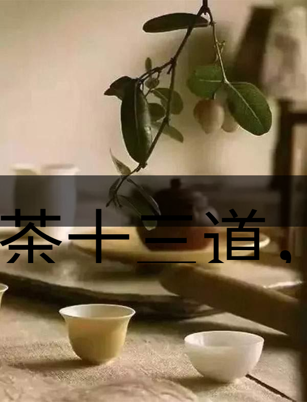 喝茶十三道，道道皆精華！-2