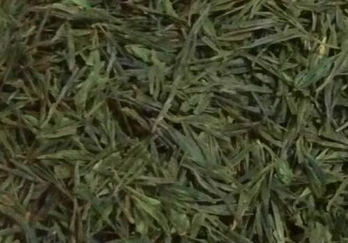 什么是海青茶？沖泡手法詳細(xì)教學(xué)！