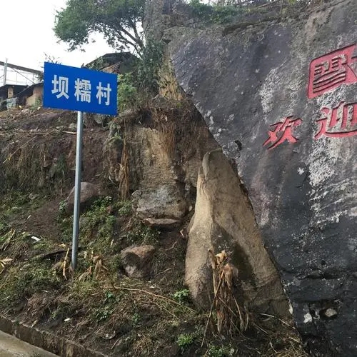 2021年壩糯古樹秋茶口感特點?