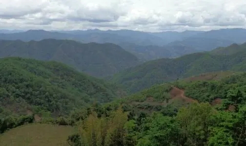 2021那罕古樹秋茶特點(diǎn)？