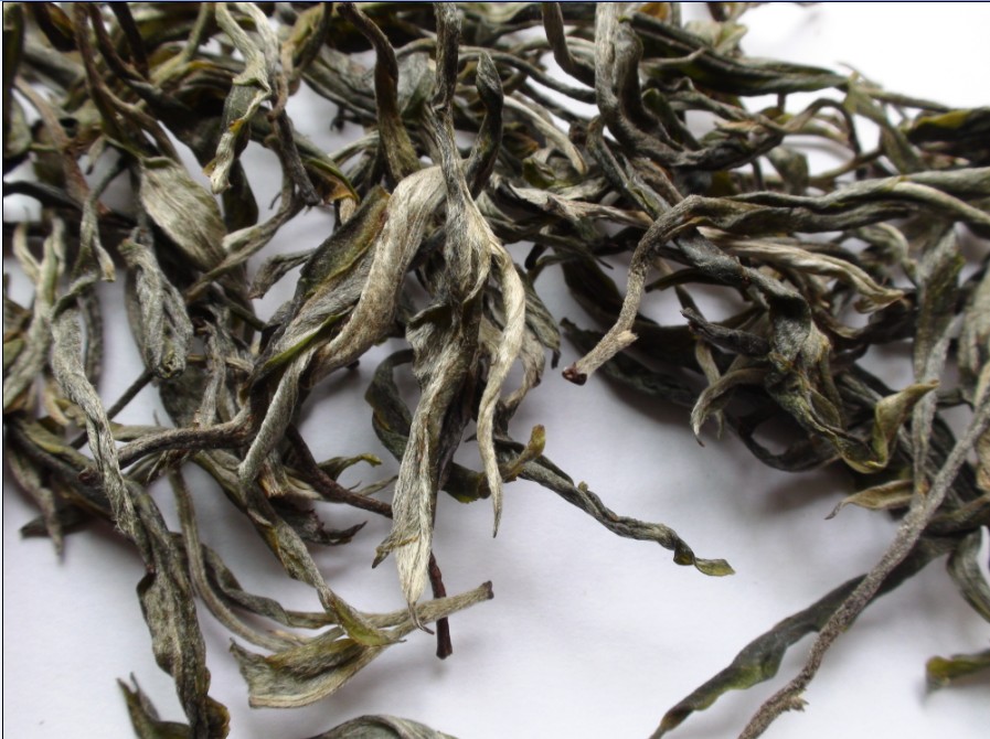 2021年馬鞍山古樹秋茶價格？