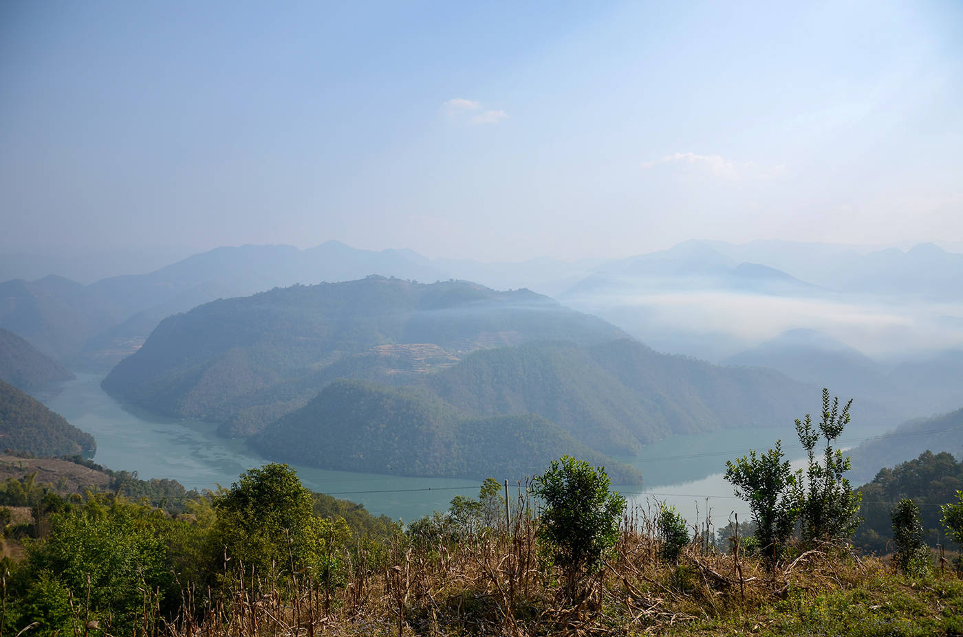 2021年白鶯山古樹秋茶，佛茶有什么魅力？