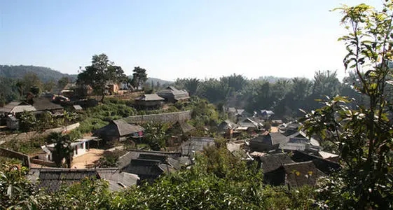 2021年班章茶區(qū)壩卡竜古樹秋茶多少錢一公斤？