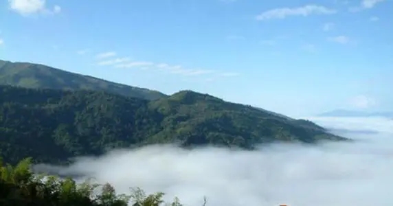 2021年滑竹梁子古樹(shù)品鑒實(shí)錄？