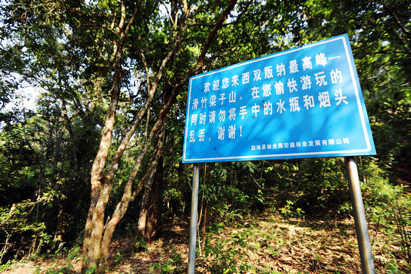 2021年滑竹梁子古樹秋茶價格?