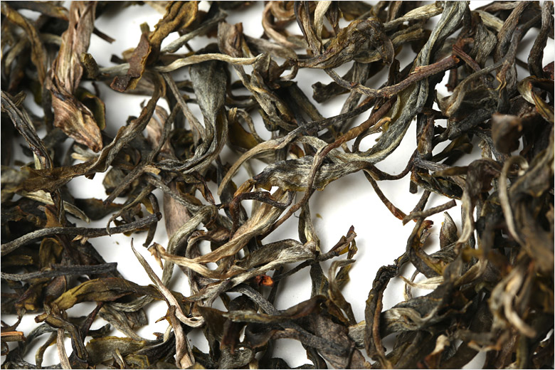 2021年巴達山章朗古樹秋茶特點？