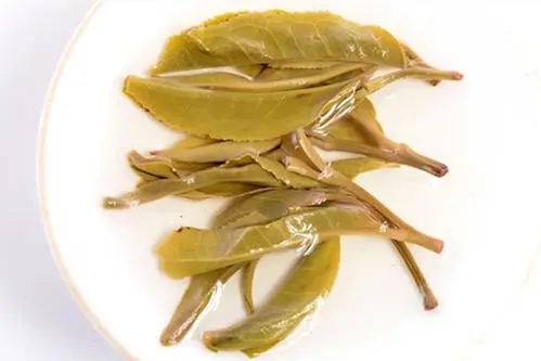 2021年南糯山拔瑪老寨古樹秋茶多少錢一公斤？