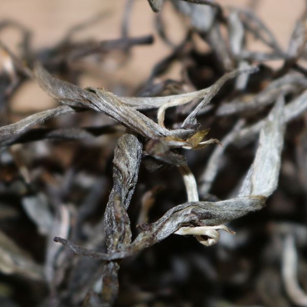 2021年帕沙古樹秋茶，你了解多少？