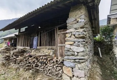 2022年景谷黃草壩古樹春茶特點是什么？