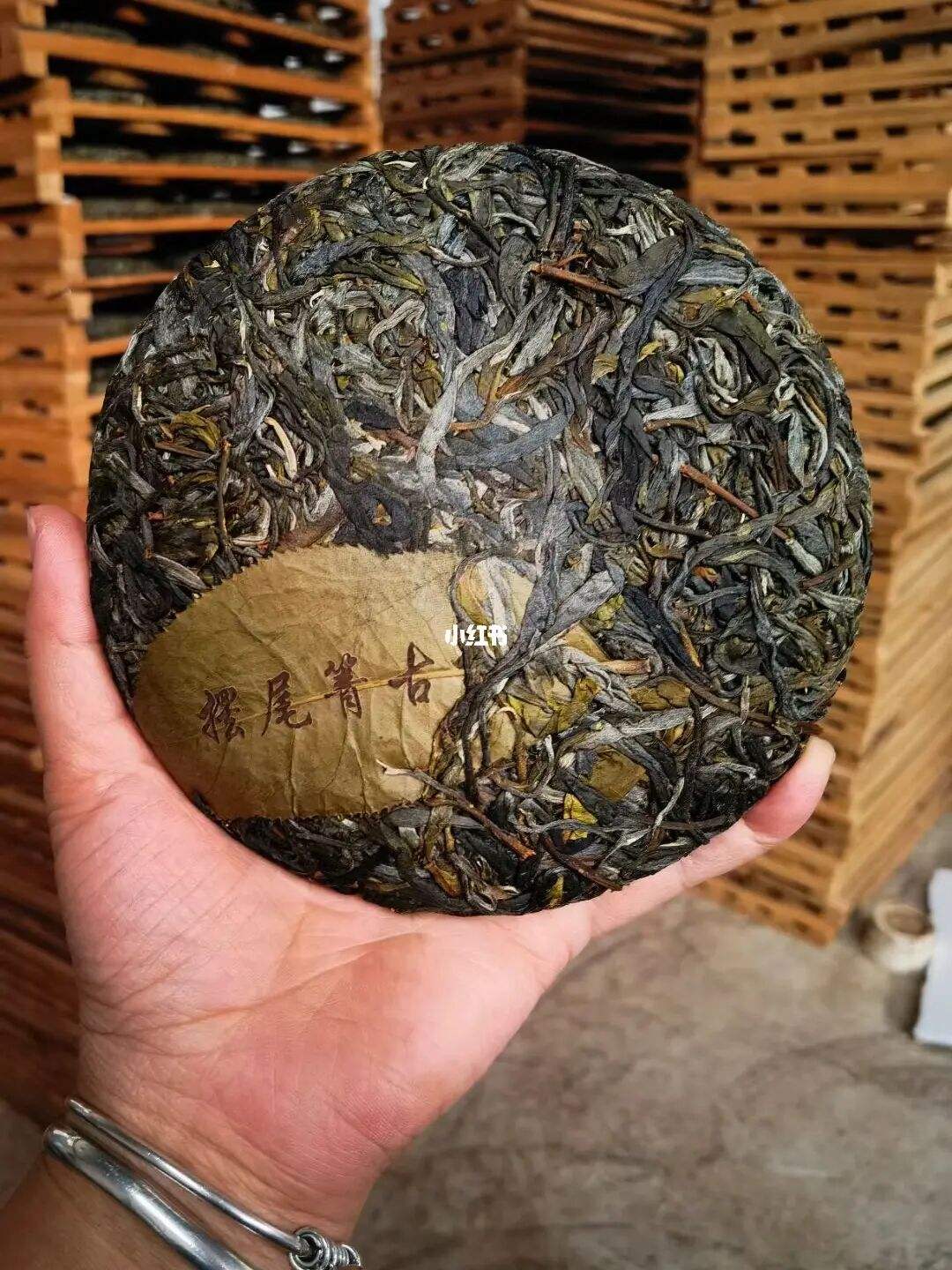 2022年寧洱 擺尾箐古樹春茶價格？