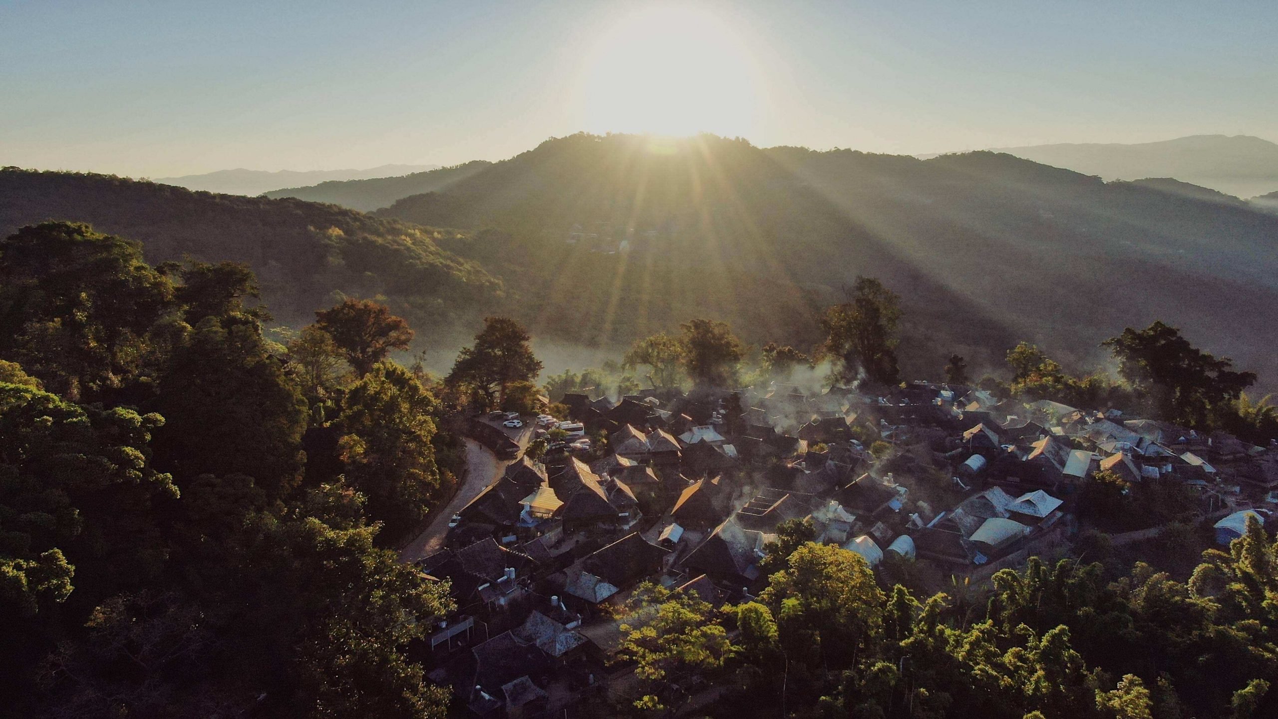 2022年景邁山古樹春茶特點？