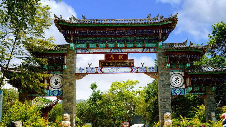 2022年易武正山在哪？易武正山是什么意思？