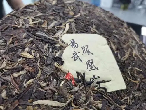 2022年鳳凰窩古樹高桿，鳳凰筑巢的地方