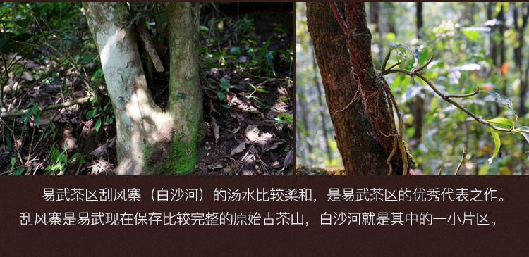 2022年白沙河古樹春茶口感?