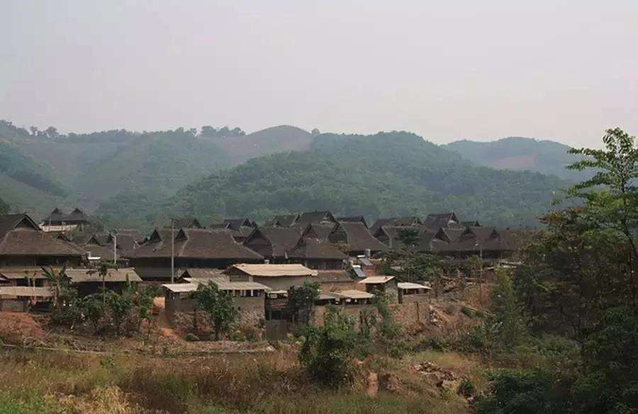 2022年革登古樹春茶特點？