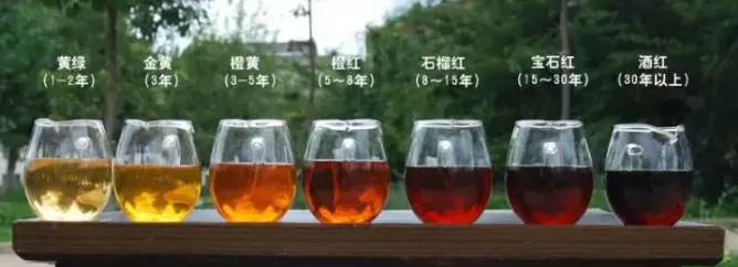 2022年普洱茶的茶湯湯色要怎么描述？