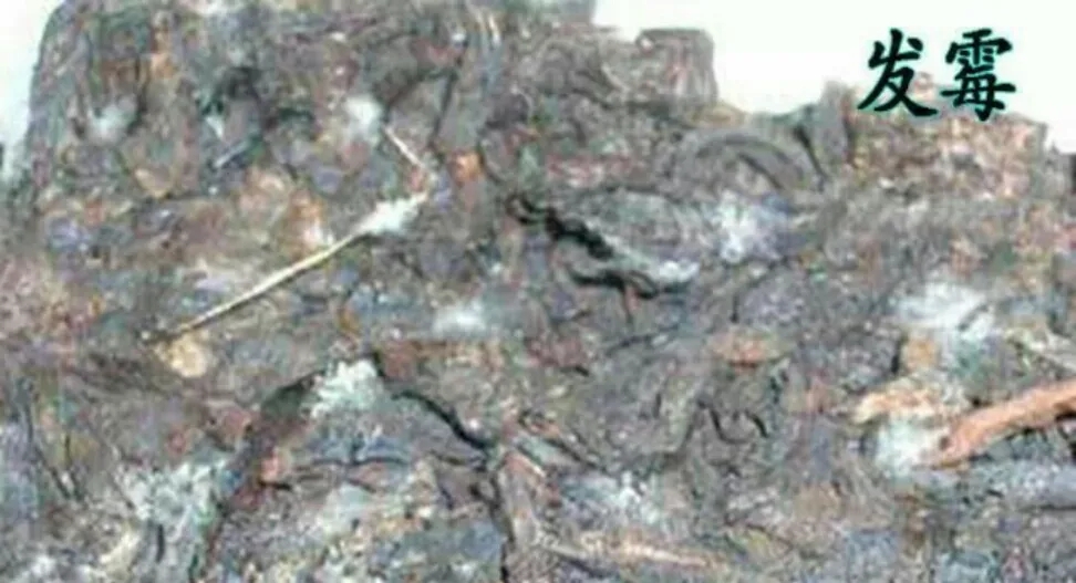 普洱茶受潮怎么處理？