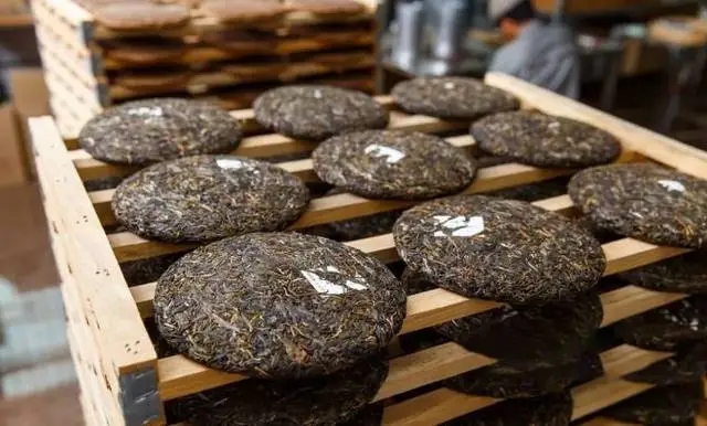 普洱茶存放通風(fēng)怎么理解?