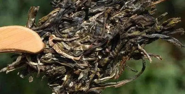 不同普洱茶生產地味道有哪些不同，不同派別的普洱茶味道又如何?