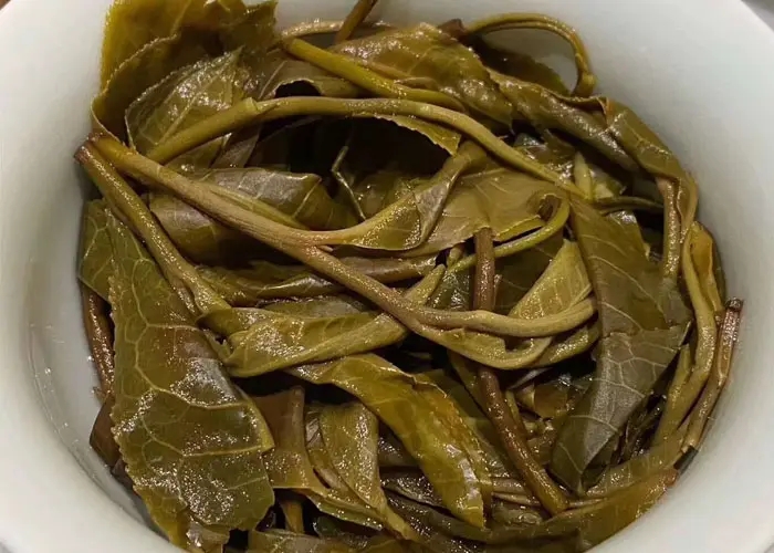 老班章和冰島誰更好喝，要怎么鑒別