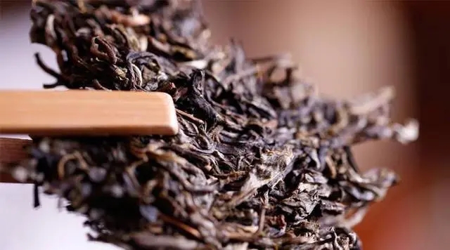 普洱生茶好還是普洱熟茶好喝？如何挑選適合自己的普洱茶？