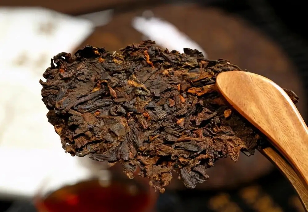 普洱茶生津、回甘、滋味、口感是怎么回事？丨實(shí)用