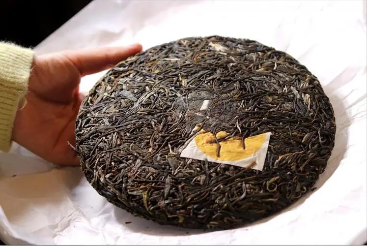 犀牛塘 | 古韻留香，帕沙之王