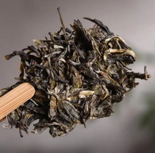 茶無貴賤！這些不知名的山頭，其實也產(chǎn)優(yōu)質(zhì)普洱茶！